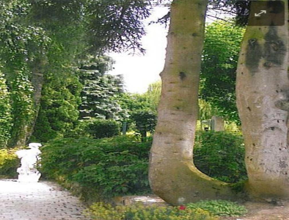 7 , Le Haut Montraye Pacé 외부 사진